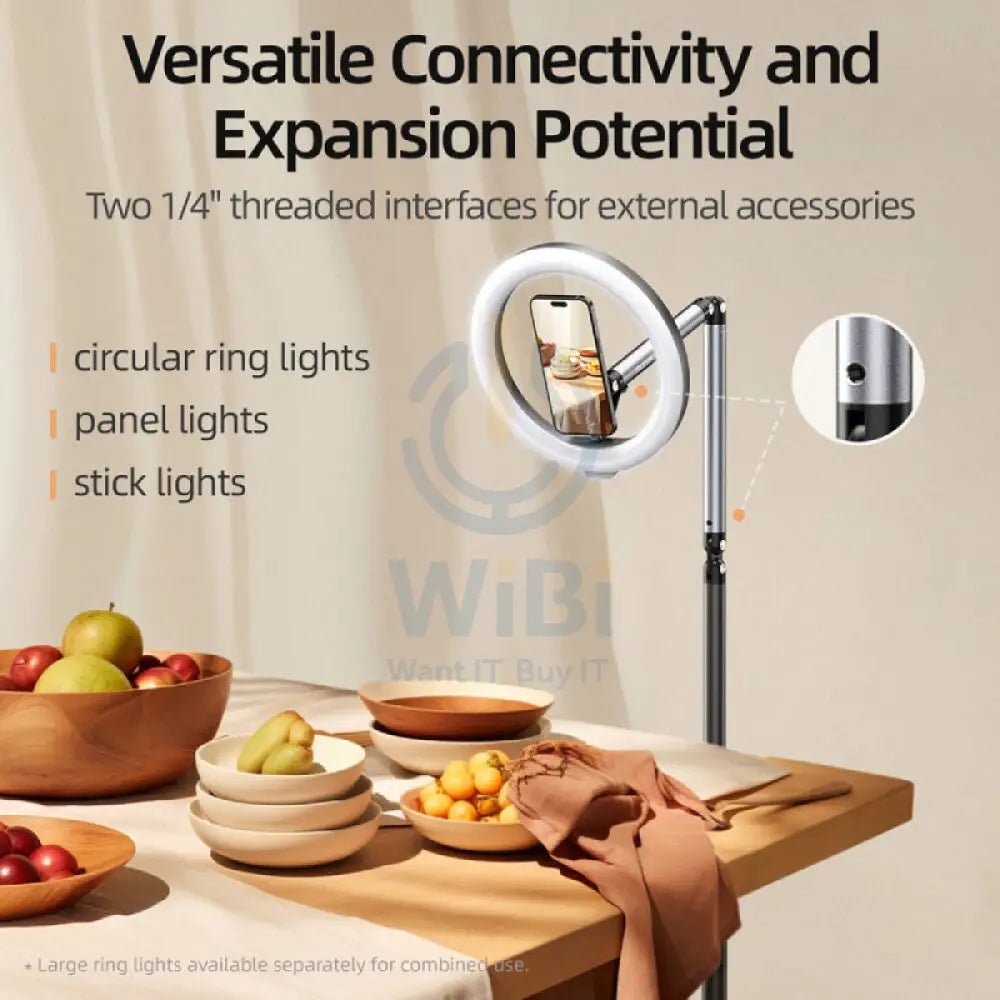 TELESIN Phone Floor Stand and Articulating Arm with MagSafe - Black/Silver Accessories > Mobiles & Tablets > Mobiles >