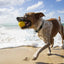 Waboba Fetch Accessories > Other Accessories