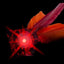 Waboba LED Flyer - Backyard Toys Accessories > Other Accessories