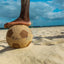Waboba Rewild Soccer Ball Accessories > Other Accessories