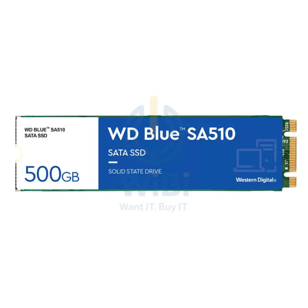 WD Blue SA510 M.2 2280 SATA SSD - 500GB / M.2 2280 / SATA-III - SSD (Solid State Drive) Storage > Solid State Drive