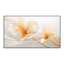 XGIMI AURA 2 4K UST Laser Projector with ALR Screen Monitors & Projectors > Projectors