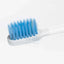 Xiaomi Mi Electric Toothbrush Head (Gum Care) Accessories > Other Accessories