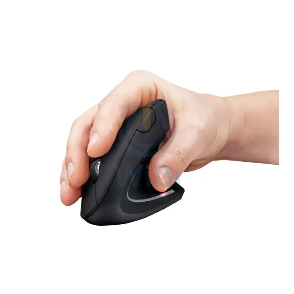 XPower WM4 Ergonomic Wireless Vertical Mouse - 1800 DPI / Black Accessories > Keyboard & Mouse